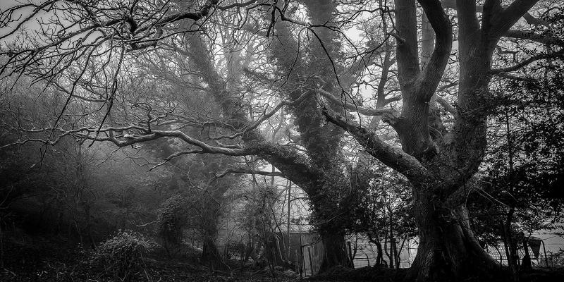 东南互保：晚清地方督抚为何敢集体抗旨？一场权力结构崩塌的预演