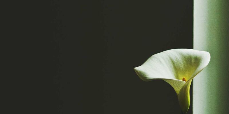 丝路千年:唐宋王朝如何通过丝绸之路重塑世界文明格局