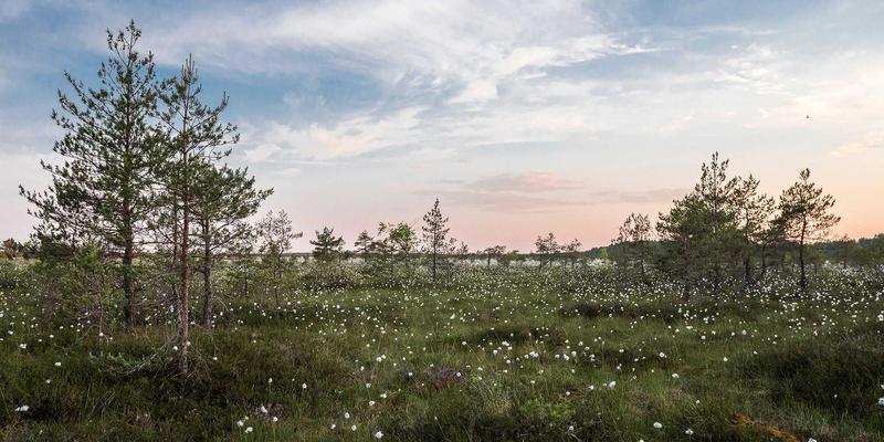 从国防柱石到财政黑洞:明代卫所制度如何从朱元璋的完美设计走向崩溃