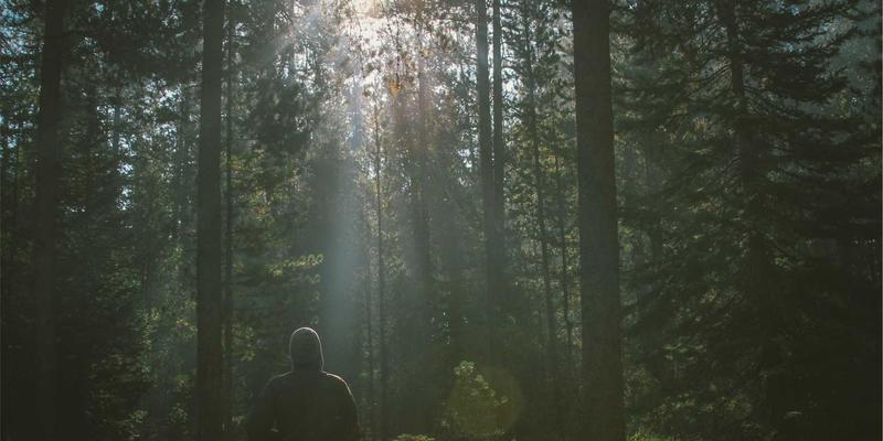 宋代市舶司：帝国财政的海洋命脉与海上丝路的黄金时代