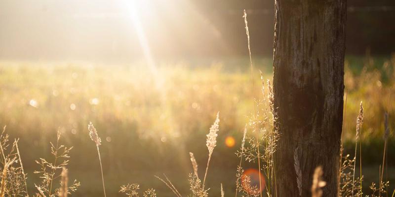 秦汉徙陵政策：一场重塑中国版图的千年大移民