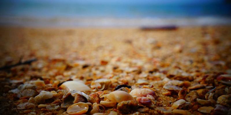 隋唐科举制：一场打破千年门阀的社会革命如何重塑中国精英流动